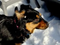 Melaney - Photo 2