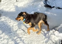 Melaney - Photo 3