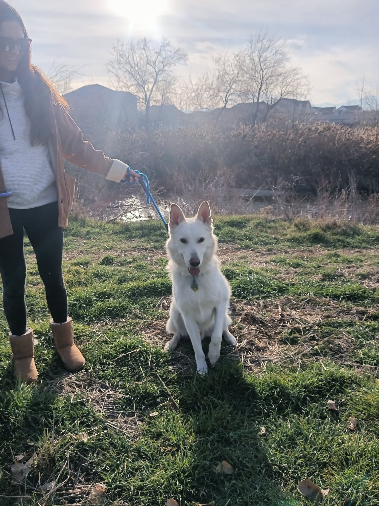 Bestest Buddy - Photo 4