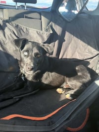Landen - Photo 5