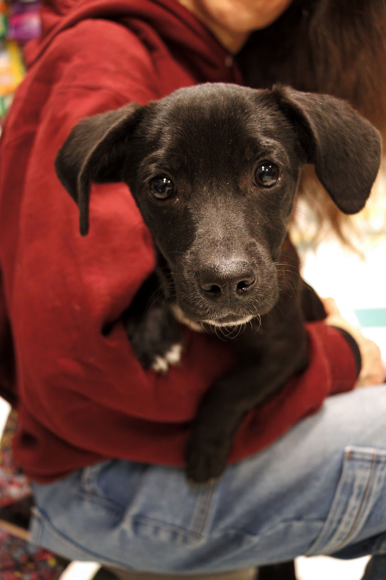 WILEY - Unknown available for adoption