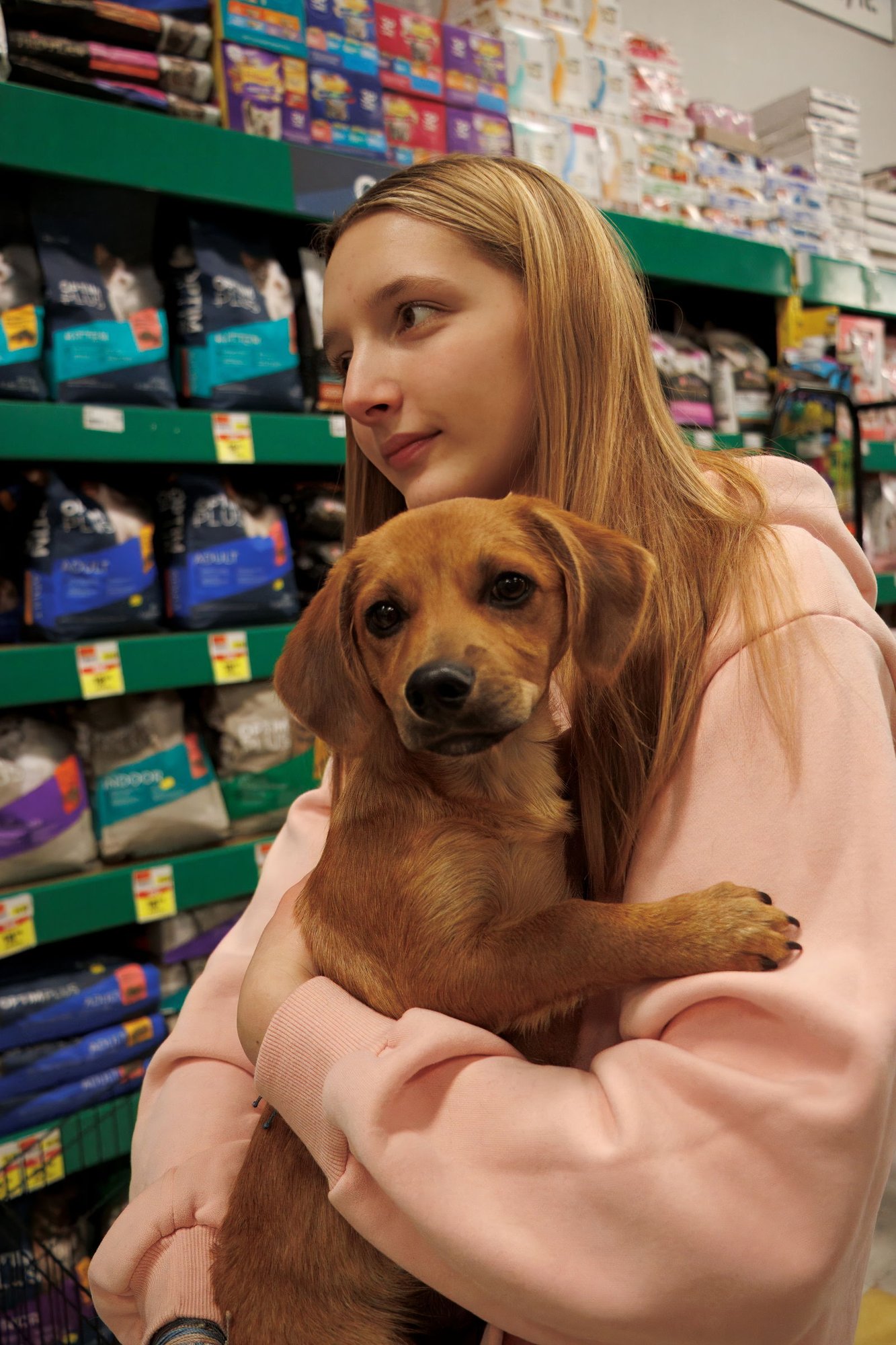 WALTER - Unknown available for adoption