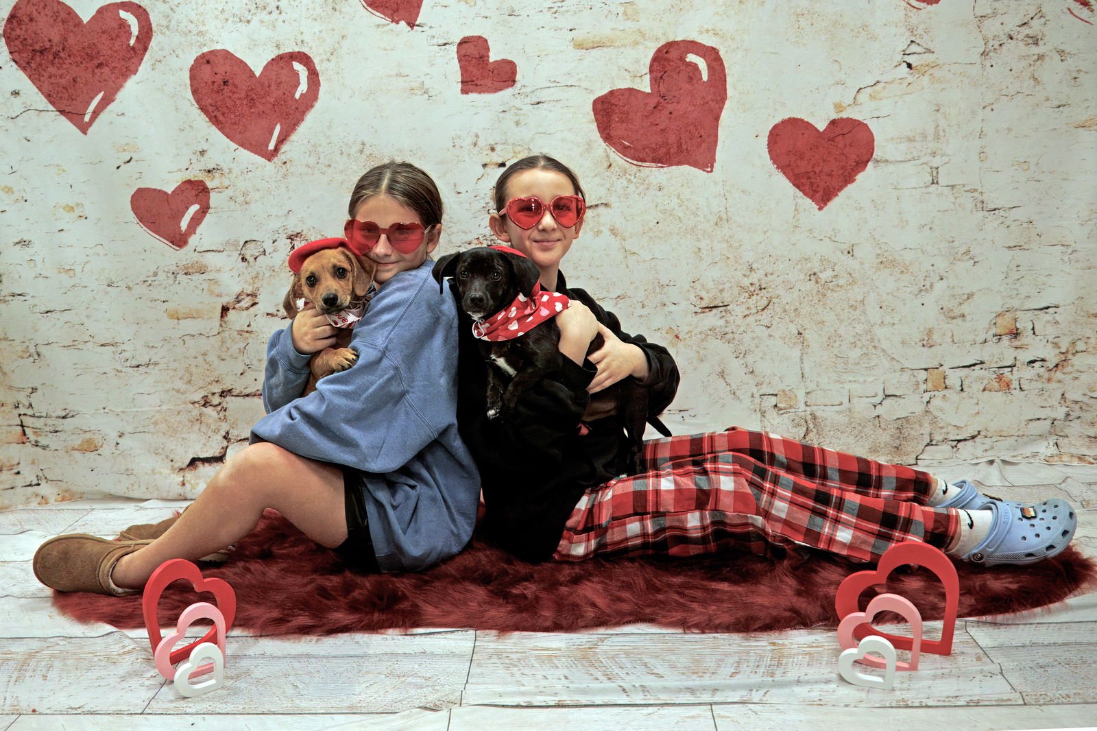 WALTER - Unknown available for adoption