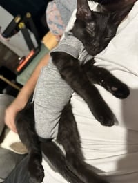 Venture - Photo 3
