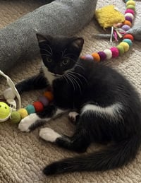 Stormie - Photo 2