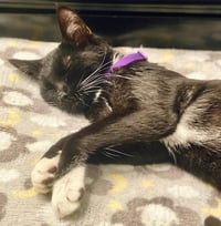 Meredith - Photo 8
