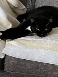 Meredith - Photo 5