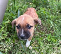 Jenny - Photo 3