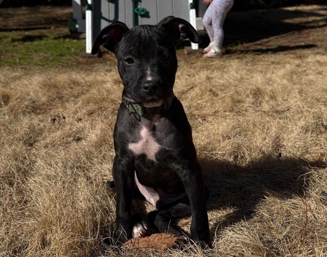 Doc Martin - Photo 3