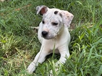 Etta - Photo 2