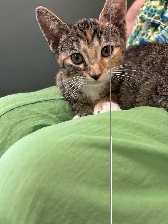 Mindy Image