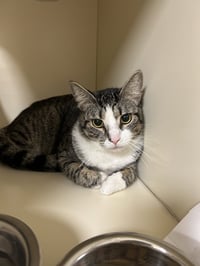 Little Guy - Photo 1