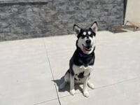 Kita - Photo 2