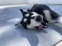Kita - Photo 3