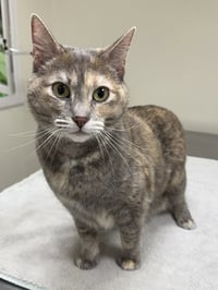 Ellie Mae - Photo 1