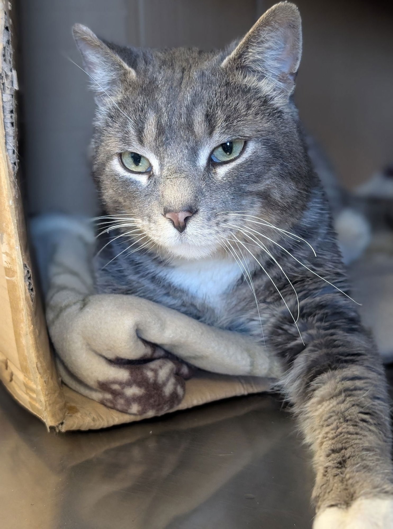 Sir Isaac Mewton - Photo 3