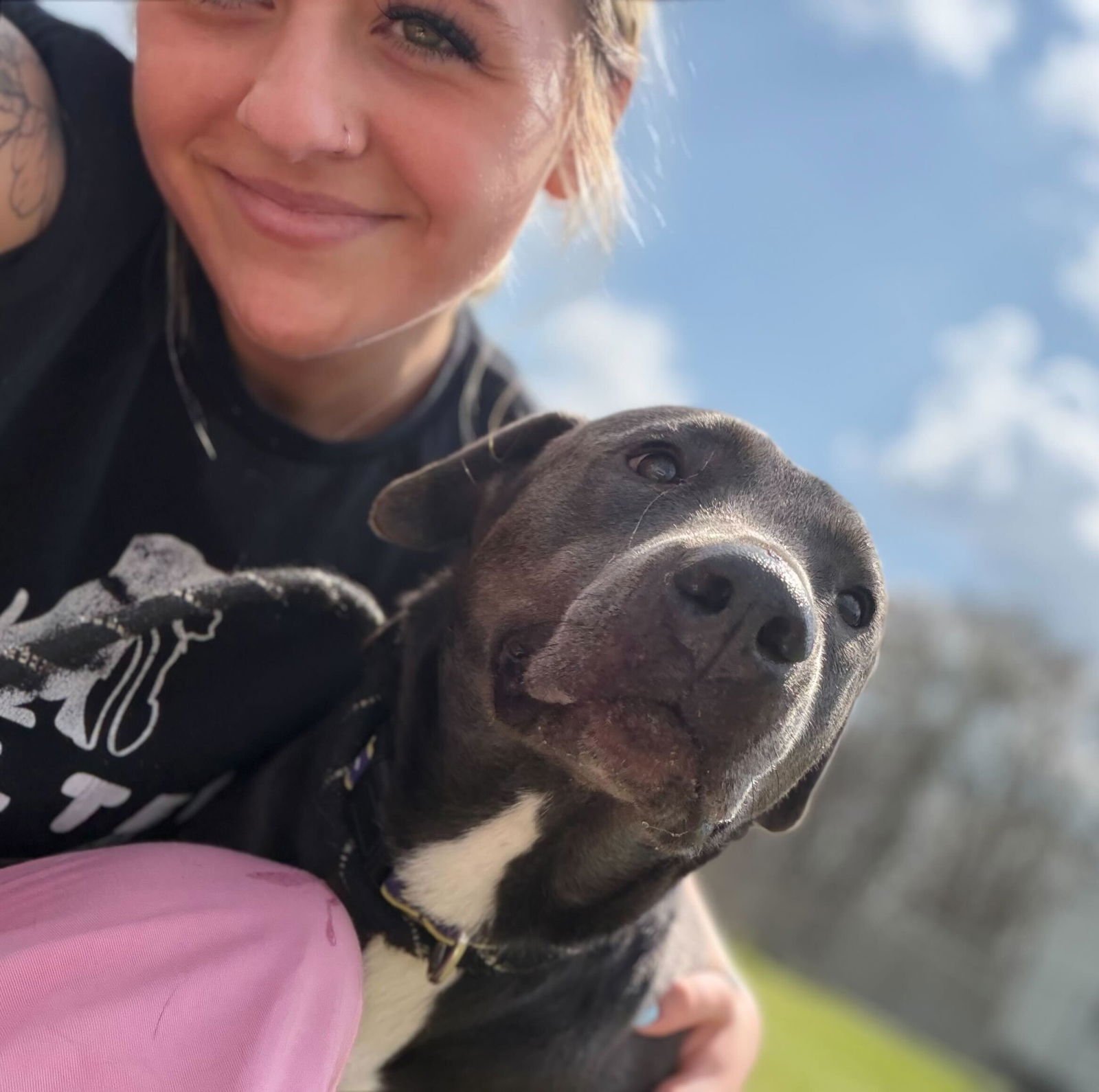 COOKIE CRISP - NAME YOUR OWN ADOPTION FEE! - Labrador Retriever available for adoption