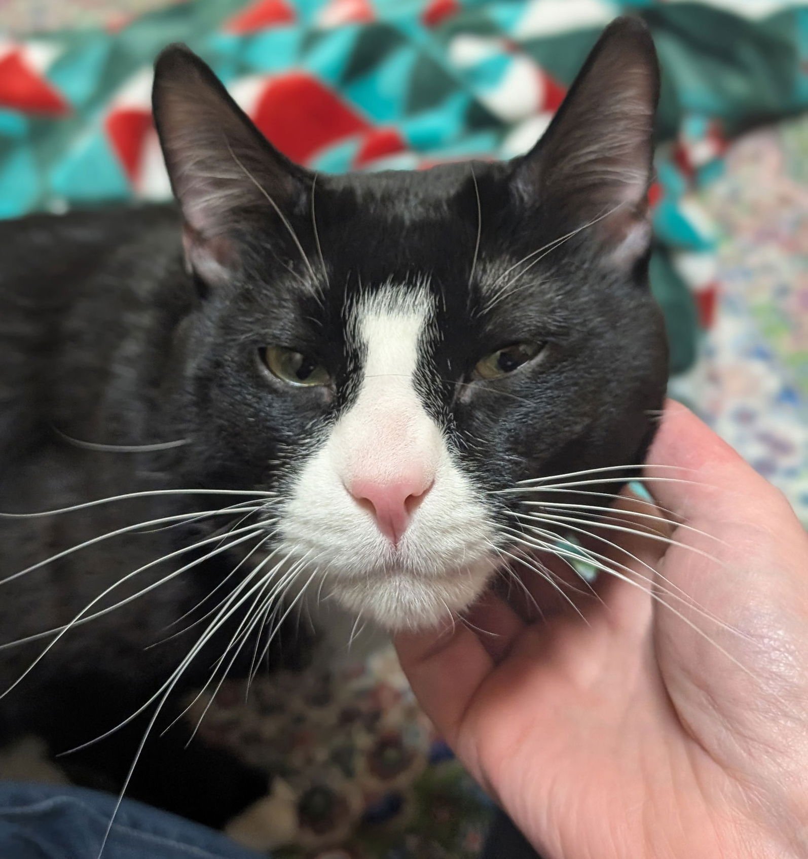 Blu - Reduced Fee! - Photo 3