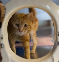 Demetri - Photo 3
