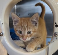 Micro - Reduced Fee! - Photo 3