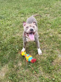 Peaches - Photo 2