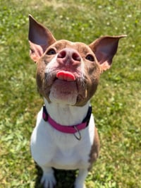Astin - Photo 2
