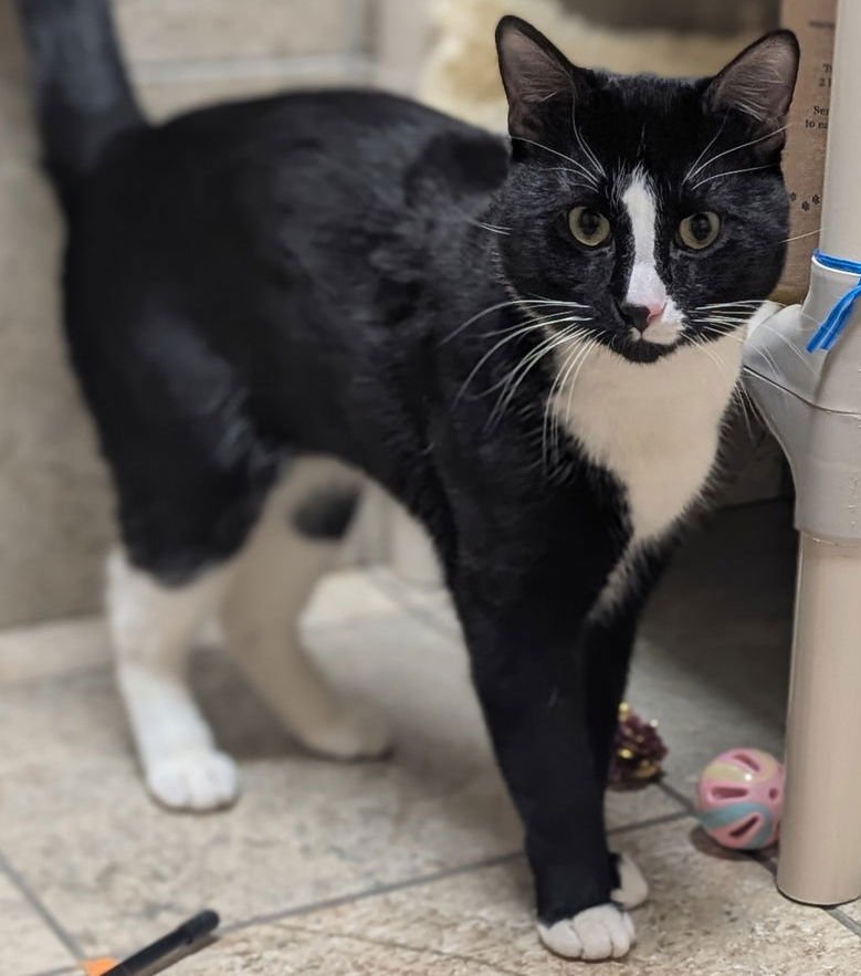 Pinki - Reduced Fee! - Photo 4