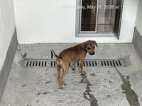 STELLA - Photo 1