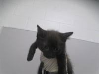 BLINKY - Photo 1