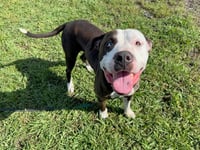 ZEUS - Photo 1