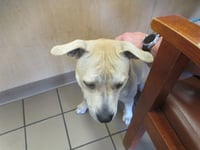 CLARABELLE - Photo 1
