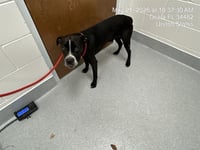 A382731 - Photo 1