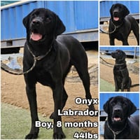 Onyx from Korea - Photo 1