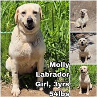Molly from Korea - Photo 1