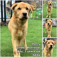 Henry from Korea - Photo 1