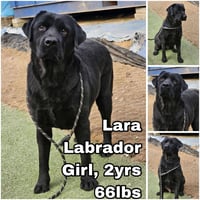 Lara from Korea - Photo 1