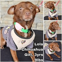 Lola from Mexico - Photo 1