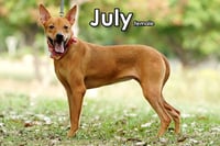 July from Taiwan - Photo 3
