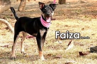 Faiza from Taiwan - Photo 1