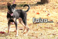 Faiza from Taiwan - Photo 3