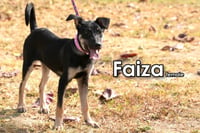 Faiza from Taiwan - Photo 4