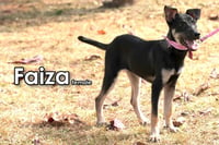 Faiza from Taiwan - Photo 5