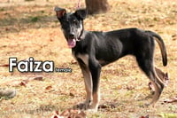 Faiza from Taiwan - Photo 2