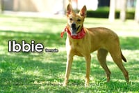 Ibbie from Taiwan - Photo 3