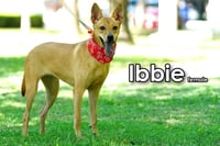 Ibbie from Taiwan - Photo 4