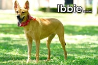 Ibbie from Taiwan - Photo 5