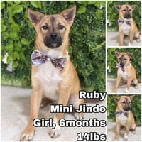 Ruby from Korea - Photo 1