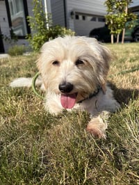 Layla from Korea - Photo 5
