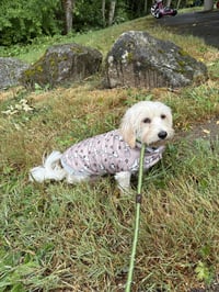 Layla from Korea - Photo 6