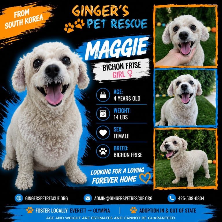Maggie from Korea Image
